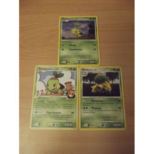 Tortipouss 60pv (103/130) + Tortipouss 90pv (85/111) + Boskara 90pv (37/100) Pokemon
