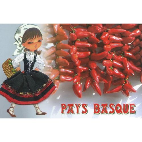Carte Postale Moderne " Brodée " : Pays Basque ( Fillette En Costume Traditionnel )