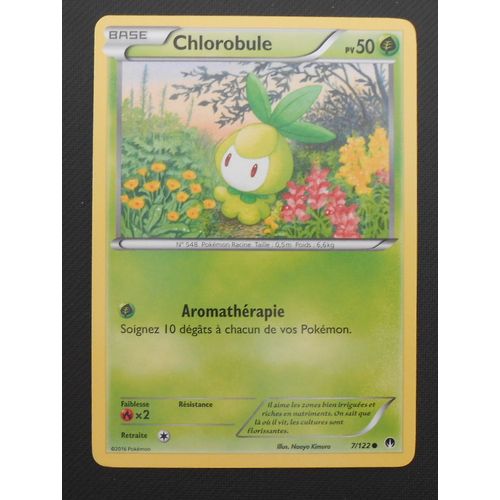 Chlorobule 7/122 + Fragilady 8/122 - Xy Rupture Turbo - Vf