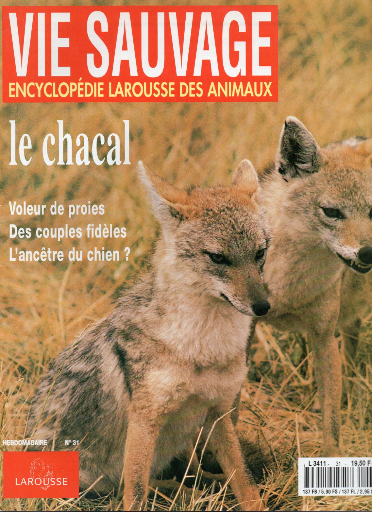 Vie Sauvage N°31  Le Chacal