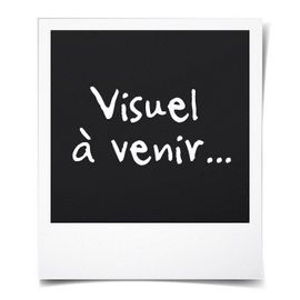 Michelin Enjoliveur 14" Nvs 3d Par 4 En Boîte Noir
