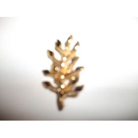 Broche De Rameau D'olivier Doré
