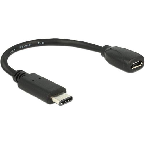 Delock - Adaptateur USB - 24 pin USB-C (M) pour Micro-USB de type B (F) - USB 3.1 - 15 cm - noir