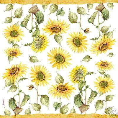 motif de feuille de tournesol