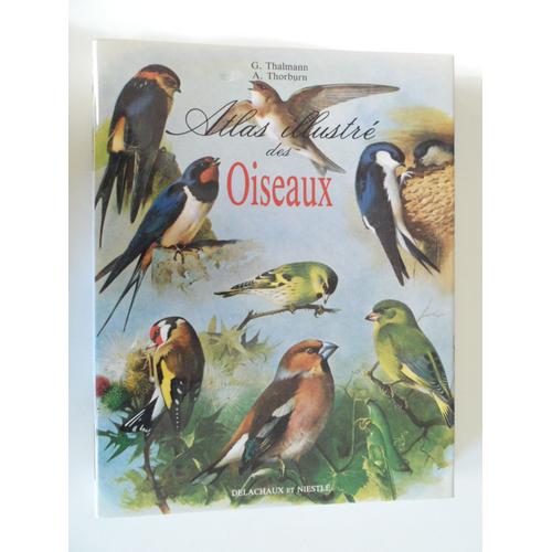 Atlas Illustre Des Oiseaux