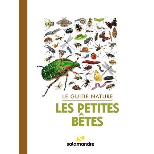 Les Petites Bêtes
