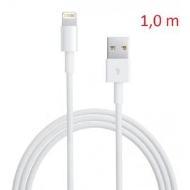 Câble Lightning 1m chargement et synchronisation rapide (2.4 A) OEM