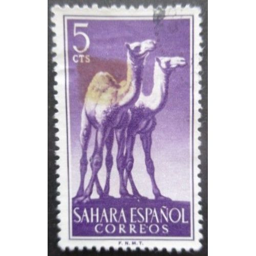 Sahara Espagnol N°120 Dromadaires Oblitéré