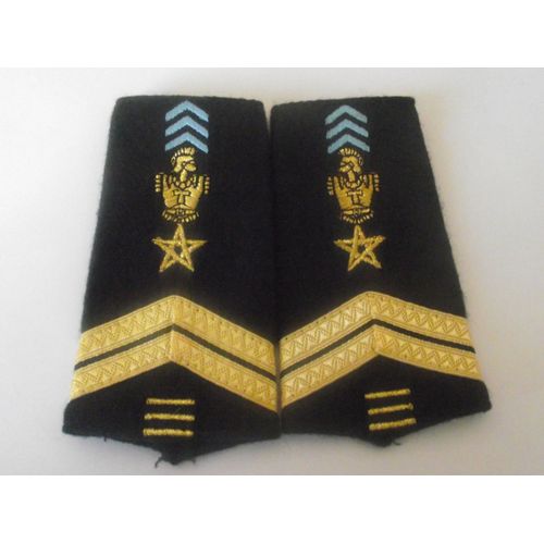 Fourreaux 41 Régiment De Transmission Grade Sergent 3 Brisques Armée De Terre