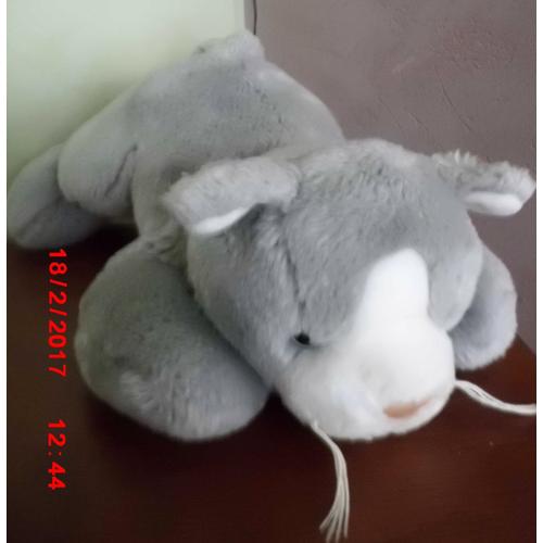 Chat Gris Et Blanc Anna Club Plush