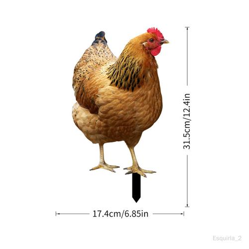 Piquet de jardin décoratif en forme de poulet, ornement créatif pour 31,5 cm x 17,4 cm 315 cm x 174 cm