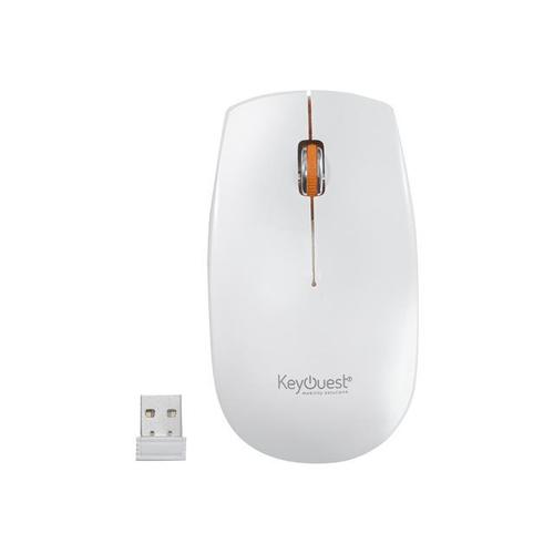 KeyOuest Urban - Souris - optique - 3 boutons - sans fil - 2.4 GHz - récepteur sans fil USB - blanc/orange
