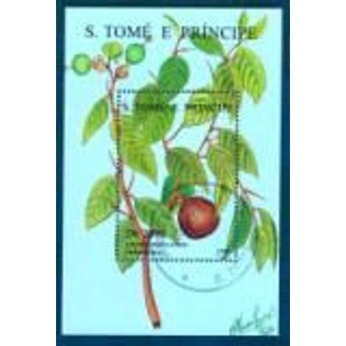 S. Tome Et Principe  B.F. Oncobola Apinosa