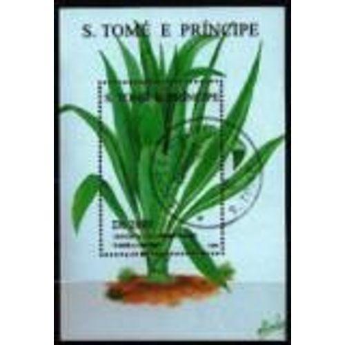 Soa Tomé E Principe : " Crinum Jacus "
