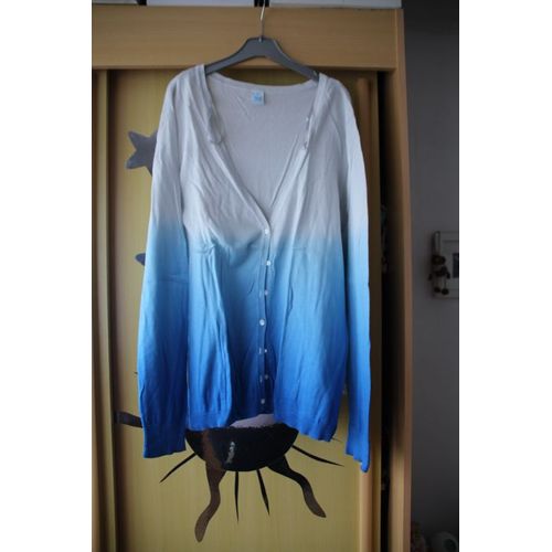 Gilet Bleu