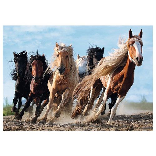 Puzzle 1000 Pièces Chevaux