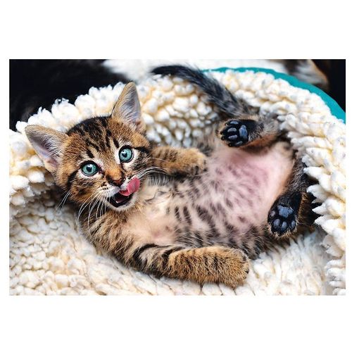 Puzzle 1000 Pièces Chaton