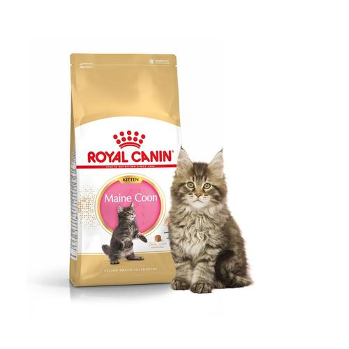 Royal Canin Maine Coon Chaton 10 Kg