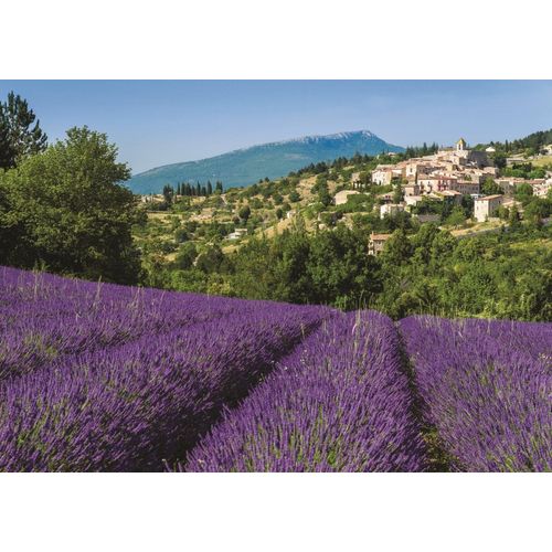 Puzzle 500 Pièces Provence