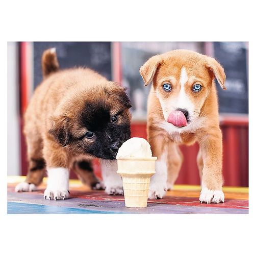 Puzzle 500 Pièces Temps D'une Glace !