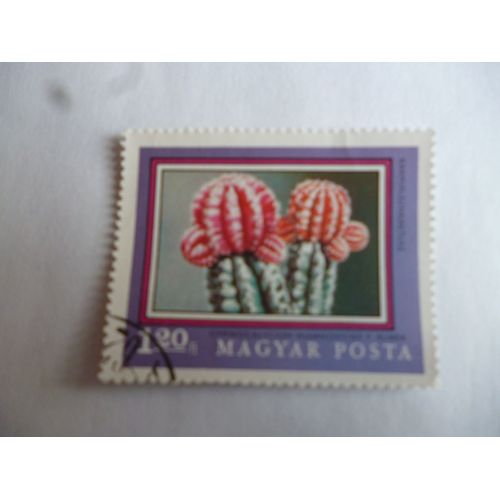 Timbre Magyar Posta :Cactus
