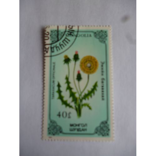 Timbre Mongolie 1986 :Taraxacum Officinale.