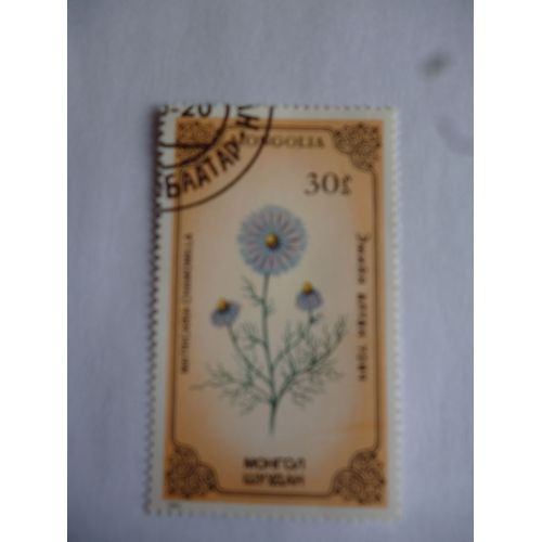 Timbre Mongolie 1986 :Matricaria Chamomilla.