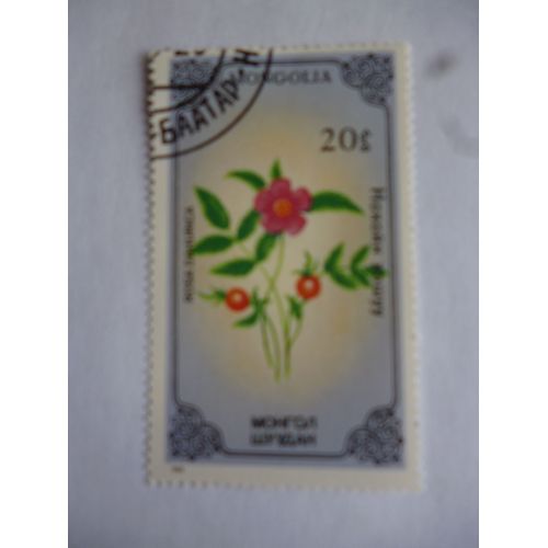 Timbre Mongolie 1986 :Rosa Dahurica.