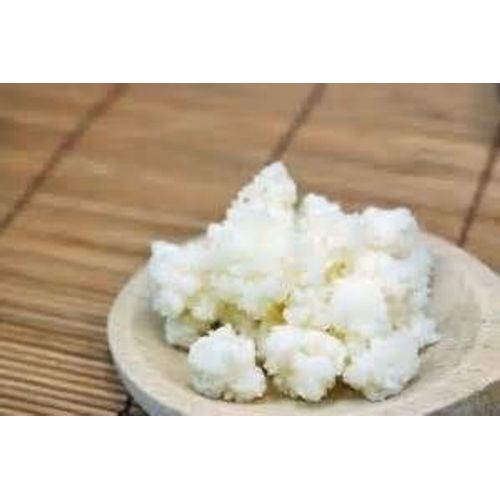 Graines De Kéfir De Lait Ou Champignon Tibétain 