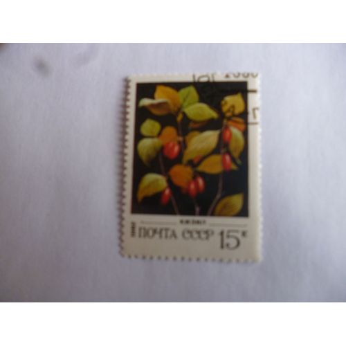 Timbre Cccp (Urss) Baie Sauvage 1982.