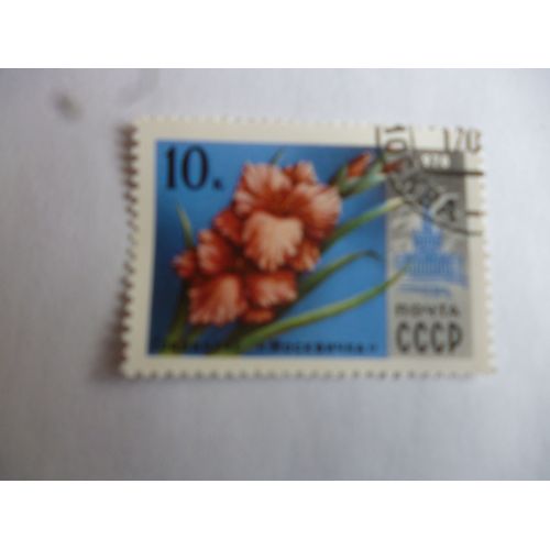 Timbre Cccp (Urss) :Glaïeul.