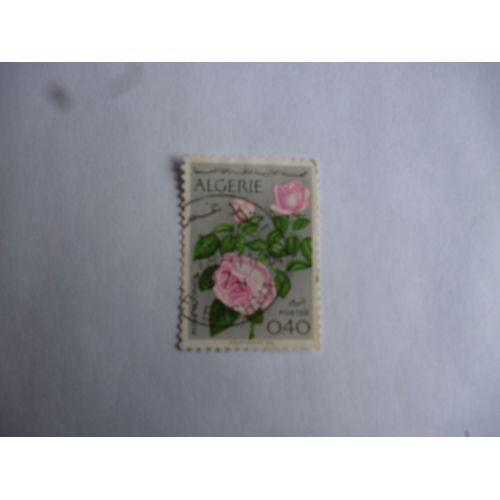 Timbre Algérie 1978 :Rosa Odorata.