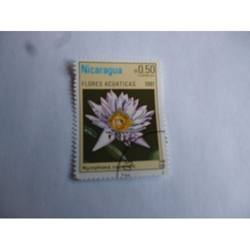 Timbre Nicaragua 1981 :Nymphea Capensis.
