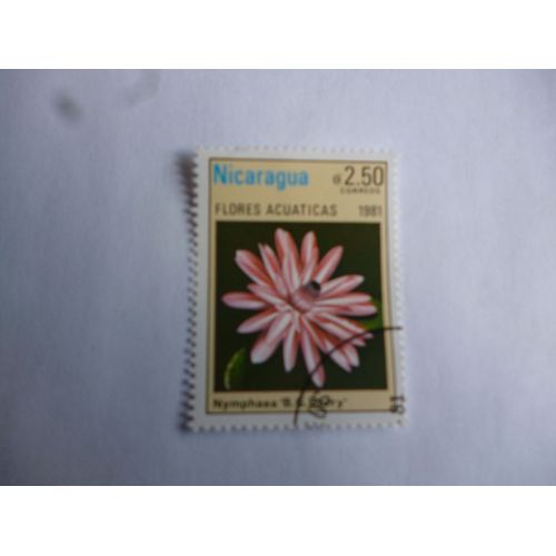 Timbre Nicaragua 1981 : Nymphea Bgberry.