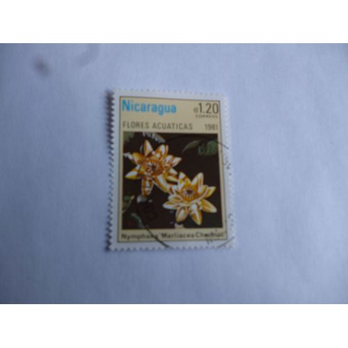 Timbre Nicaragua 1981 : Nymphea Marliarcea Chromat.