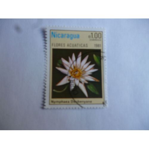Timbre Nicaragua 1981 : Nymphea Daubennyana