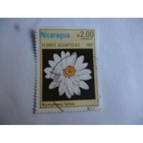 Timbre Nicaragua 1981 : Nymphea Lotus.