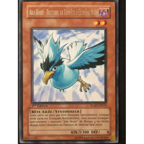 Yugioh! Aile Noire - Blizzard La Tempête D'extrême Nord - Rare - Rgbt-Fr010