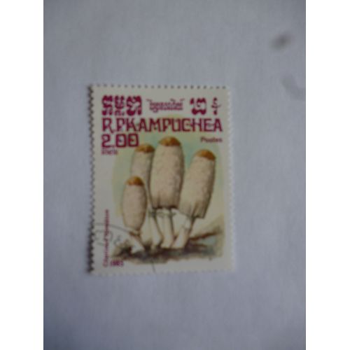 Timbre Cambodge 1985 :Coprin Chevelu.