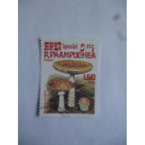 Timbre Cambodge 1985 :Amanite Muscarie.