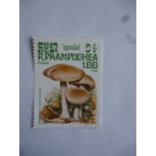 Timbre Cambodge 1985 :Hebelona Crustiliniforme.
