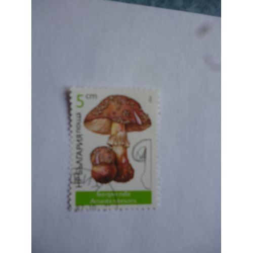 Timbre Bulgarie 1987 : Amanite Rubescens.