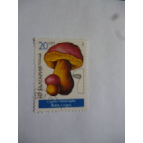 Timbre Bulgarie 1987 : Boletus Regius.