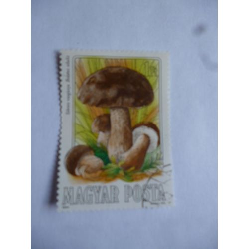 Timbre:Hongrie 1984 :Boletus Edulis.