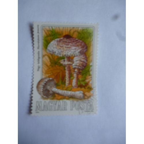 Timbre:Hongrie 1984 :Macrolepiota Procera:Lépiote Élevée.