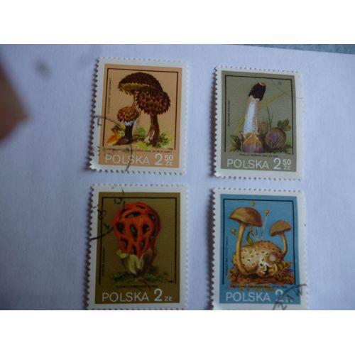 Lot De Timbres:Pologne 1980 :Xerocopus ,Strobilomyc.,Clatheus Ruber,Phallus Impudicus.