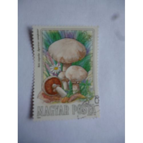 Timbre:Hongrie 1984 : Agaricus Campester:Rosé Des Prés.