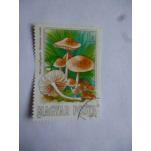 Timbre:Hongrie 1984 : Marasmius Oreades: Mousserons.