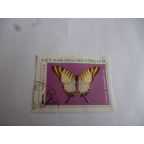 Lot De 2 Papillons Vietnam.