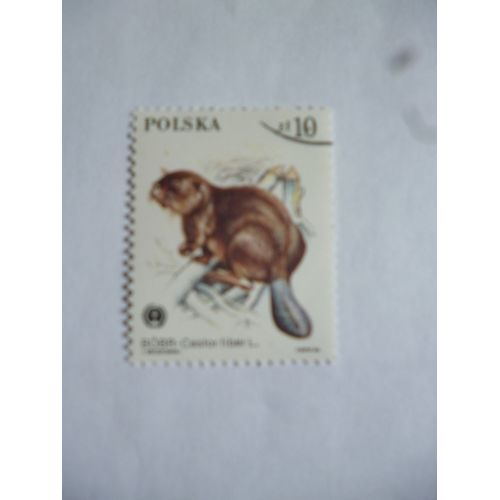 Timbre Pologne 1985 :Castor Fiber.
